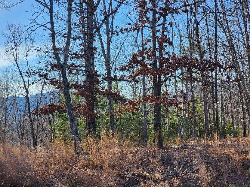 Lot 7 Robin Ridge CT - Photo 11