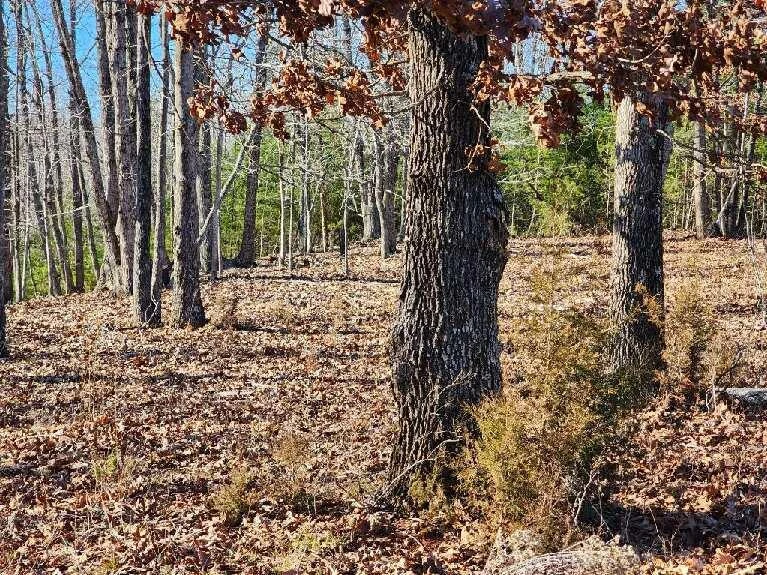 Lot 7 Robin Ridge CT - Photo 12