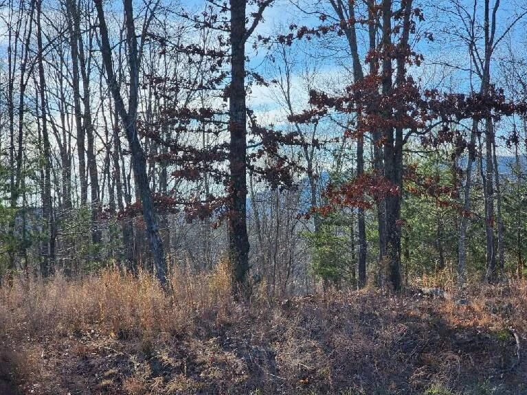 Lot 7 Robin Ridge CT - Photo 13