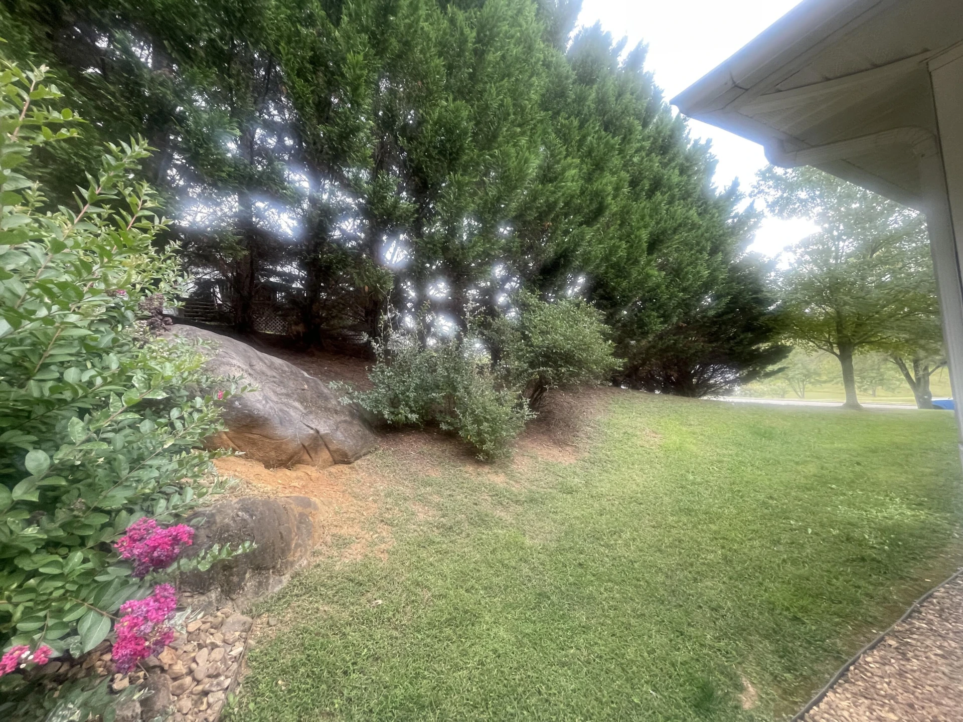 3519 Pinnacle Ridge RD - Photo 25