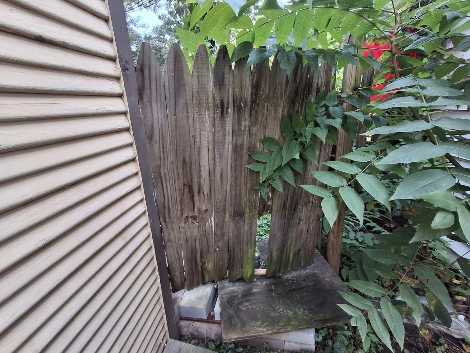 1503 Wise AVE - Photo 41