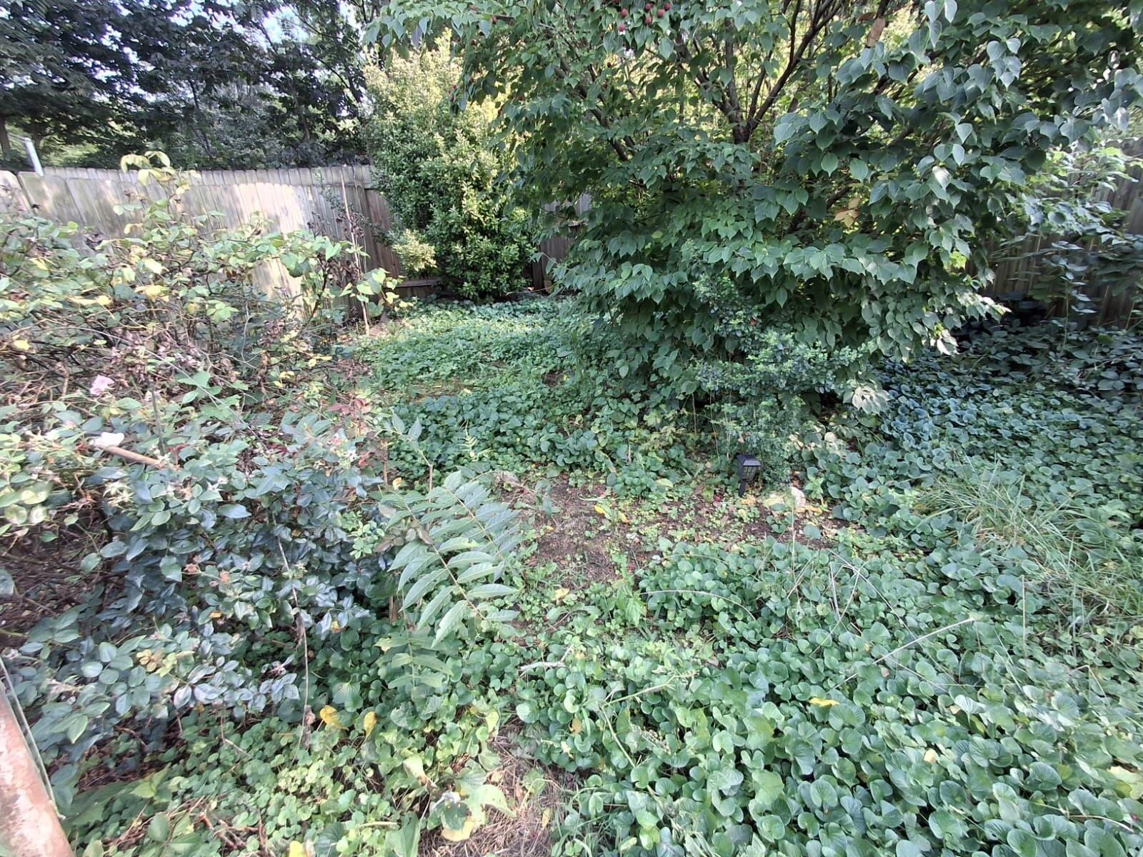 1503 Wise AVE - Photo 48
