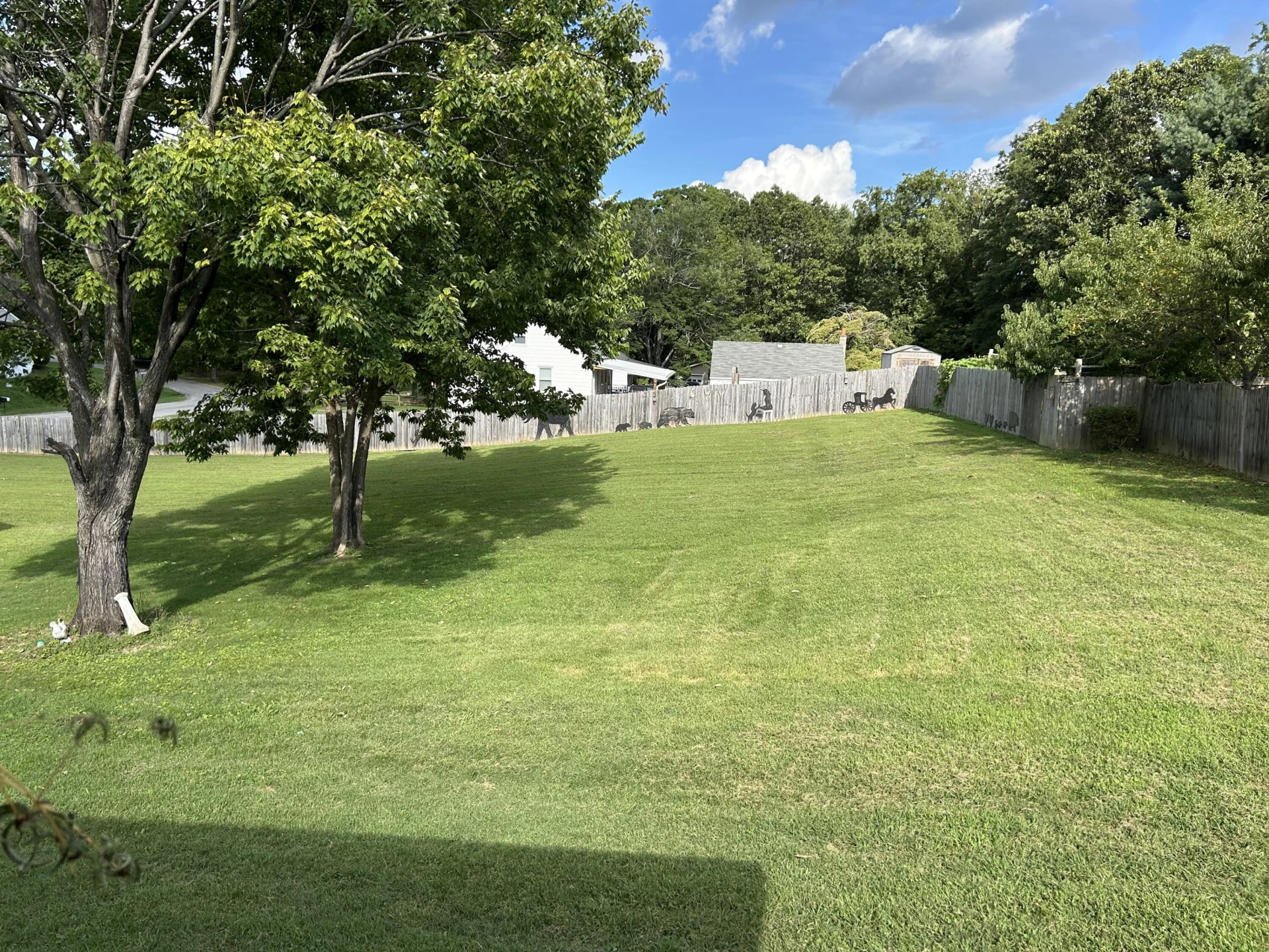 1205 Barnett RD - Photo 19