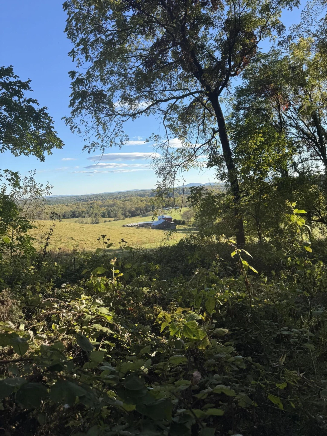LOT 16 MOUNTIAN GAP RD - Photo 2