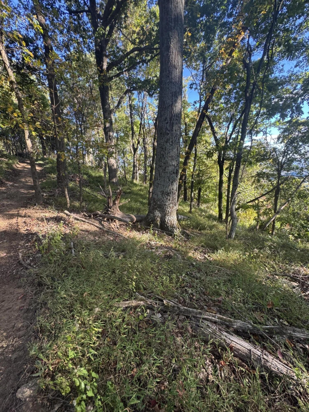 LOT 16 MOUNTIAN GAP RD - Photo 4