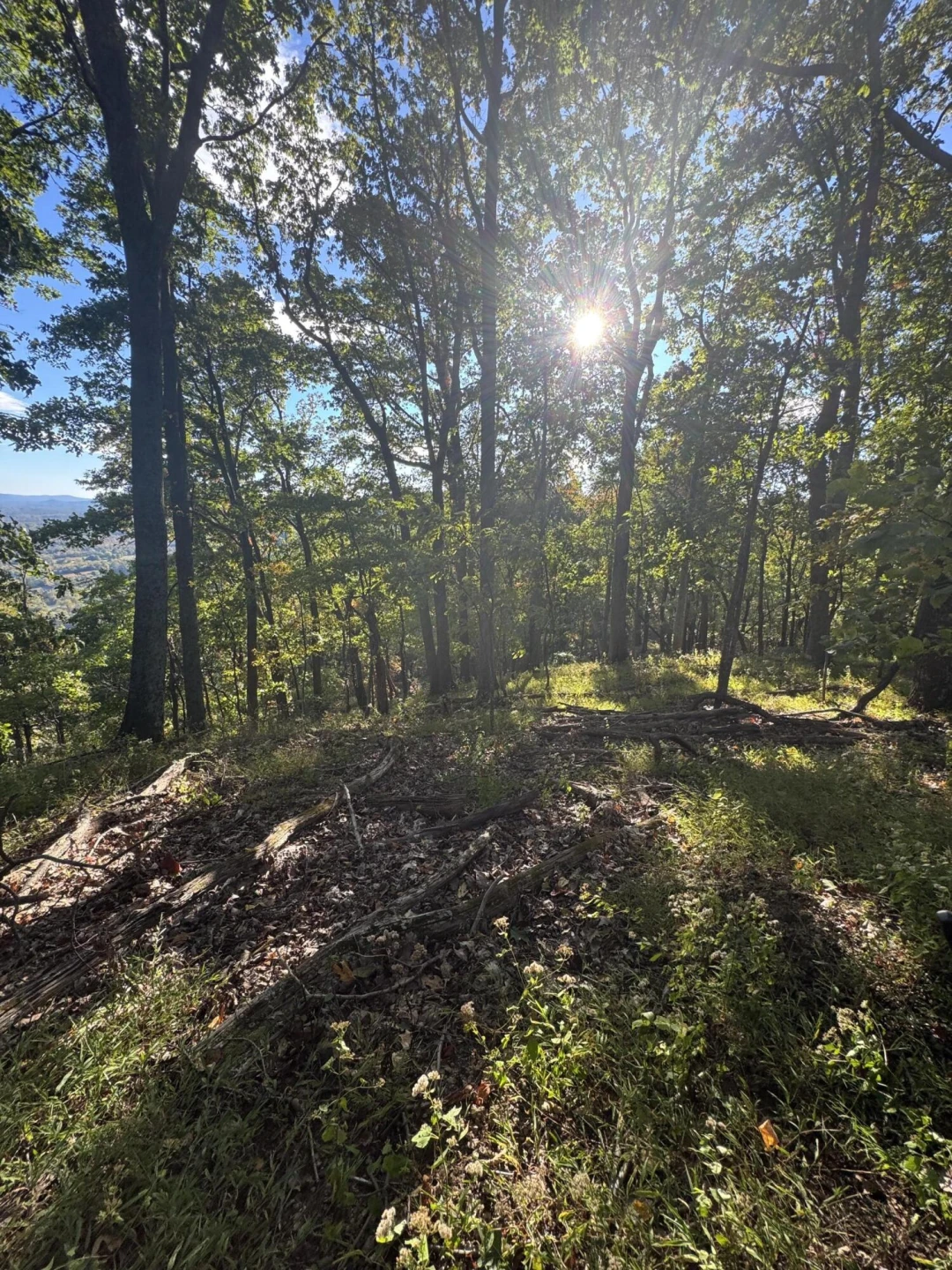 LOT 15 MOUNTAIN GAP RD - Photo 3