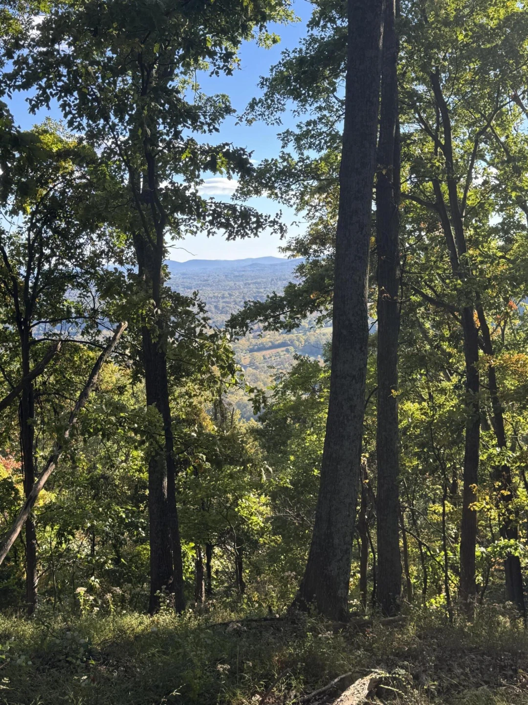LOT 15 MOUNTAIN GAP RD - Photo 5