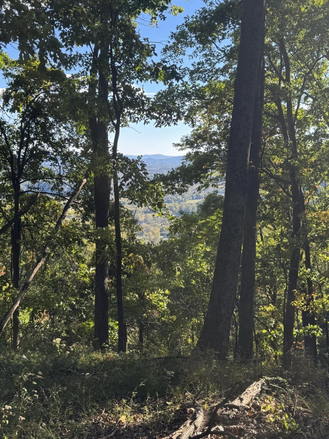 LOT 15 MOUNTAIN GAP RD - Photo 6