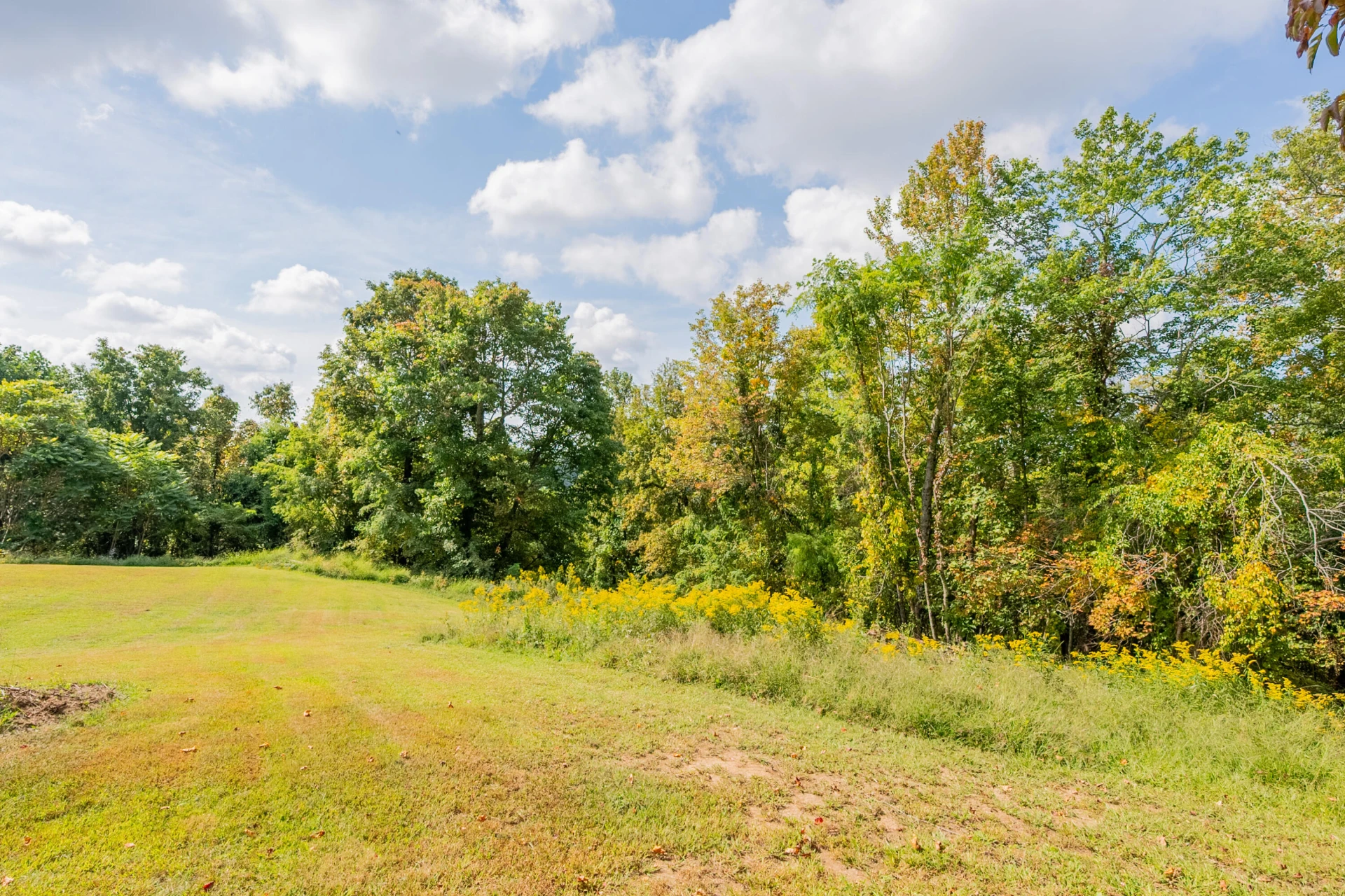 Lot 7 Ivy Fork RD - Photo 10