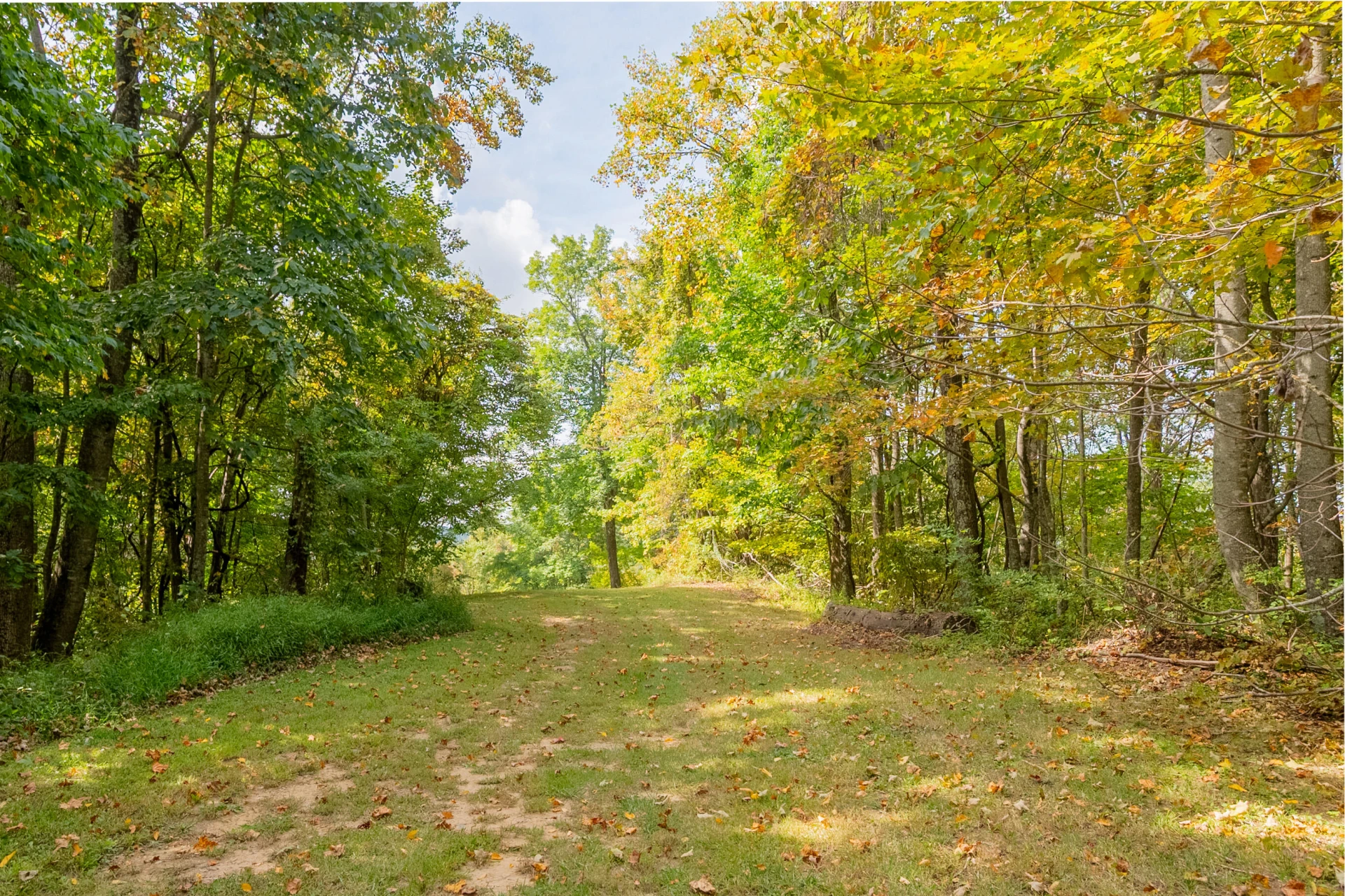 Lot 7 Ivy Fork RD - Photo 29
