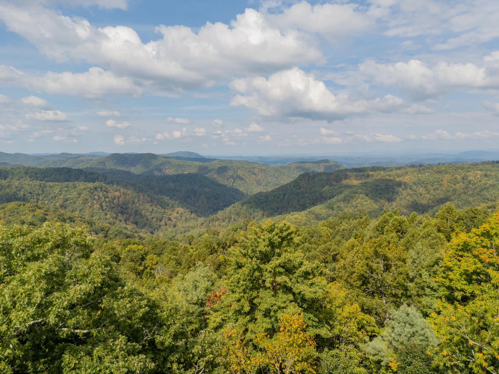 Lot 7 Ivy Fork RD - Photo 31