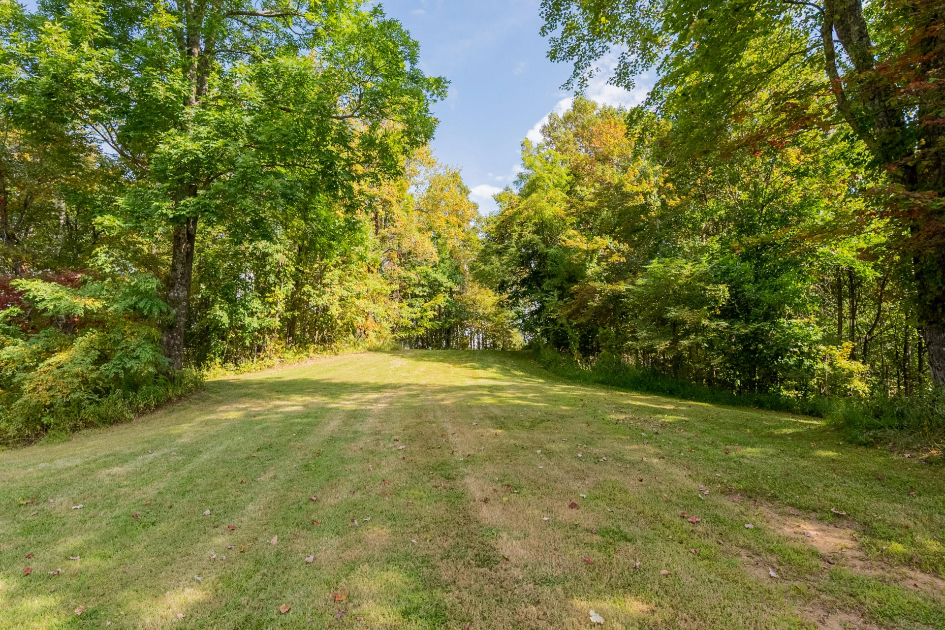 Lot 7 Ivy Fork RD - Photo 4