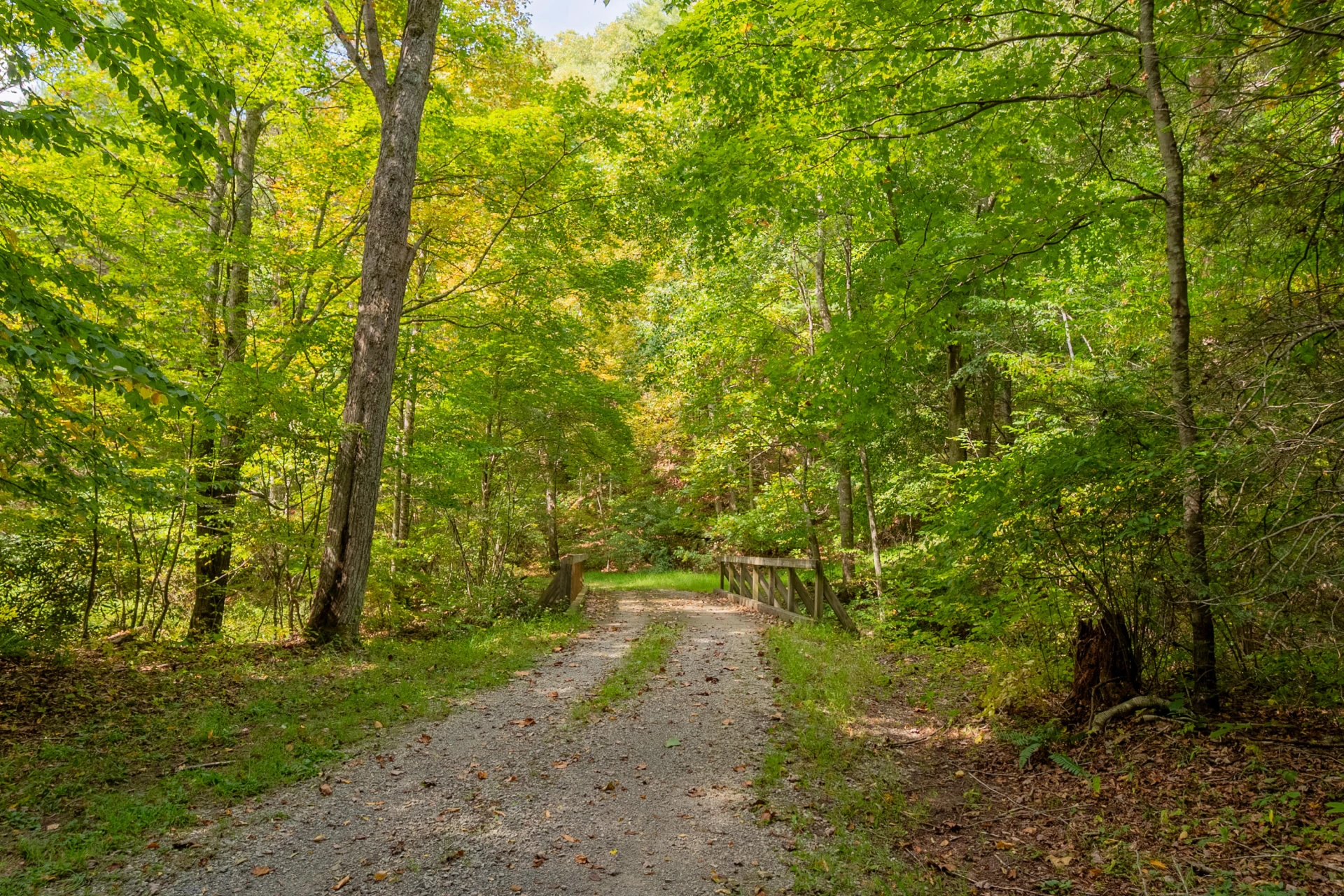 Lot 7 Ivy Fork RD - Photo 52