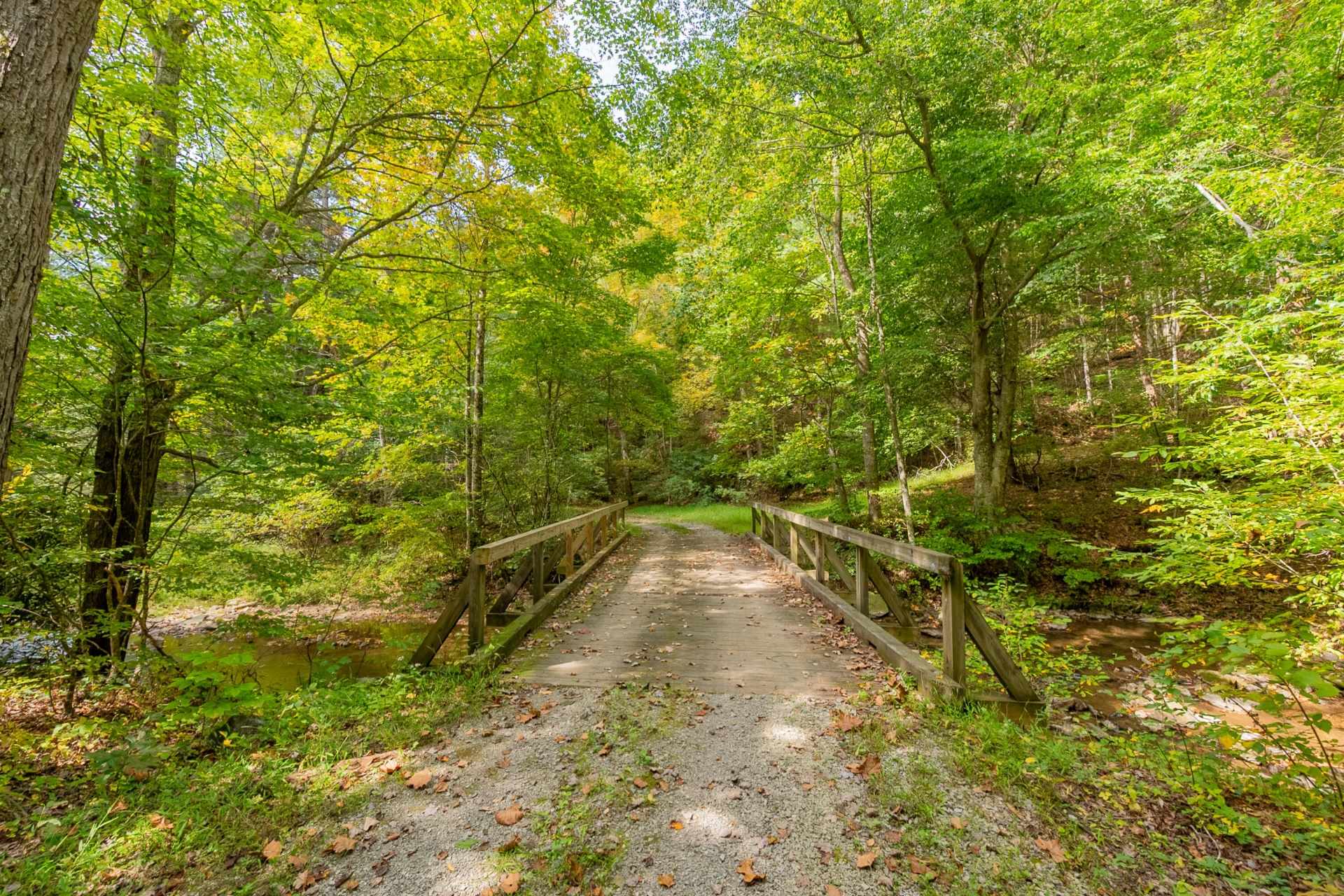Lot 7 Ivy Fork RD - Photo 53