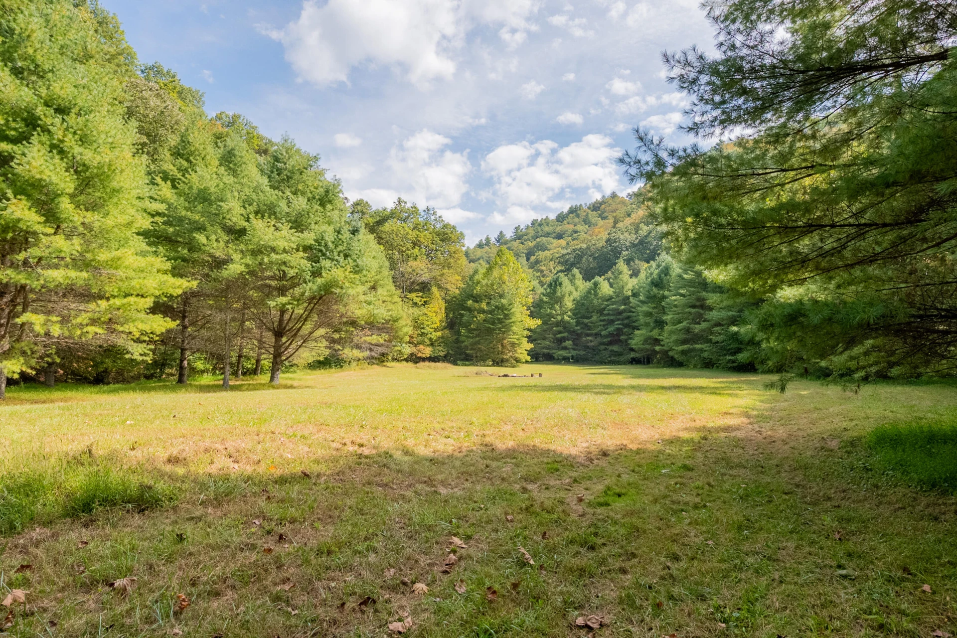 Lot 7 Ivy Fork RD - Photo 54