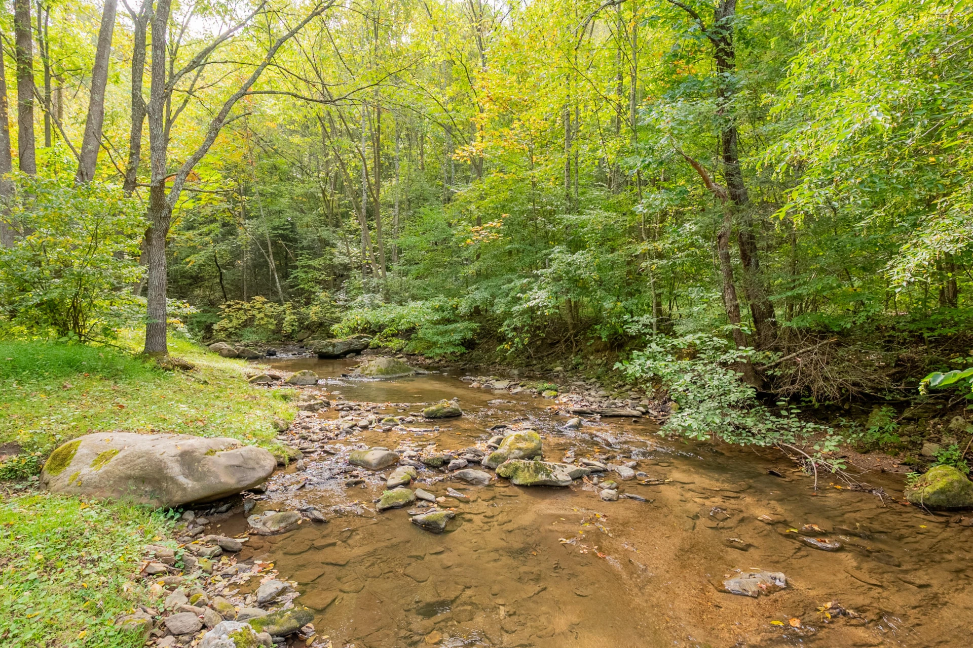 Lot 7 Ivy Fork RD - Photo 63