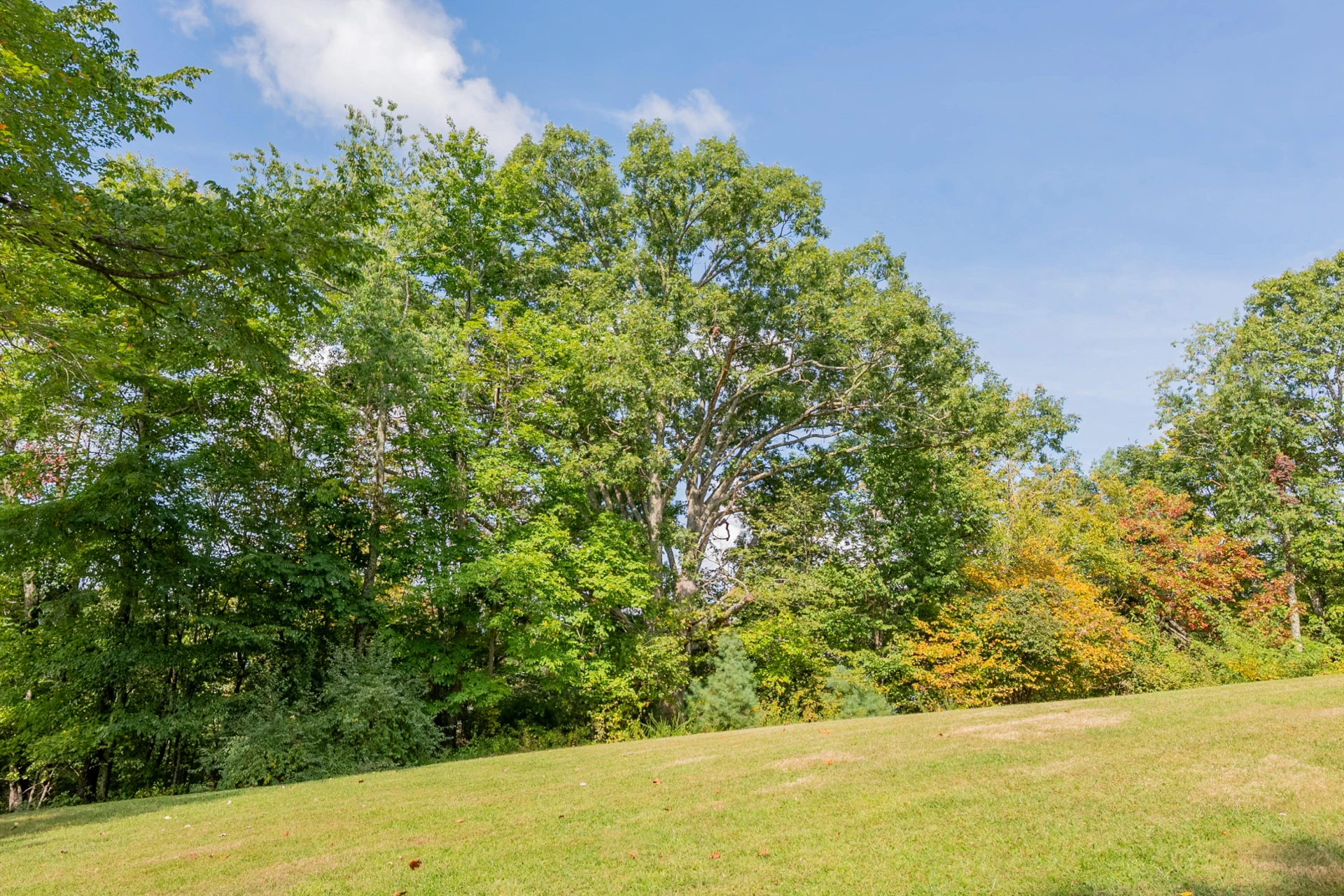 Lot 7 Ivy Fork RD - Photo 8