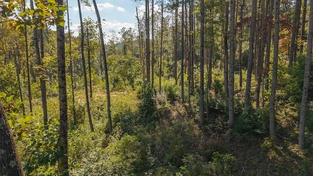 0 Twin Falls RD - Photo 10