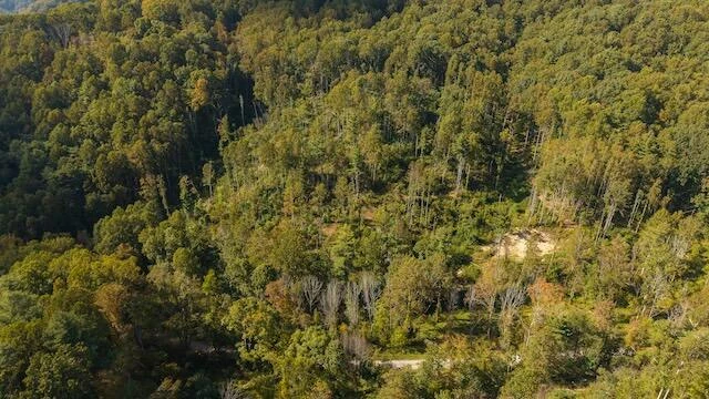 0 Twin Falls RD - Photo 14
