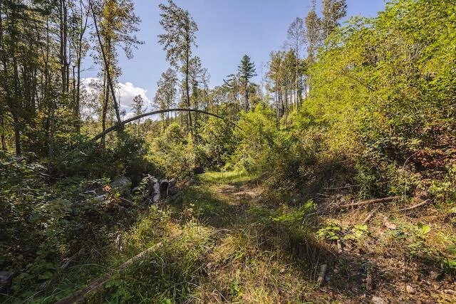0 Twin Falls RD - Photo 18