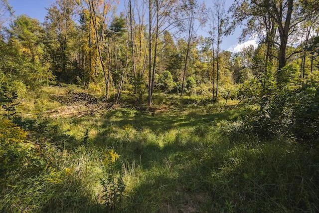 0 Twin Falls RD - Photo 19