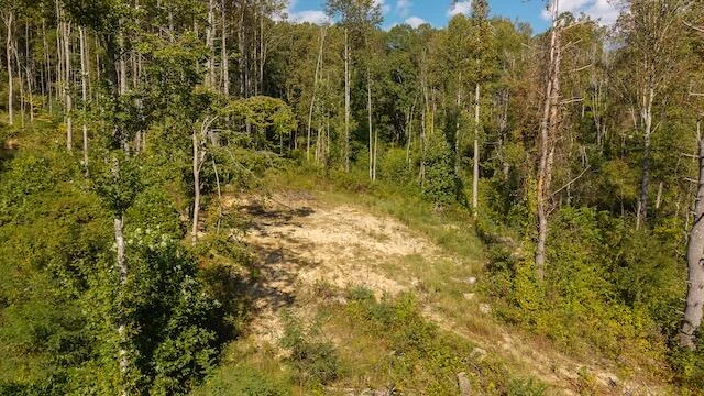 0 Twin Falls RD - Photo 2