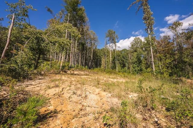 0 Twin Falls RD - Photo 21