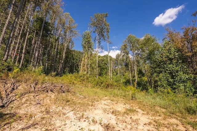 0 Twin Falls RD - Photo 22