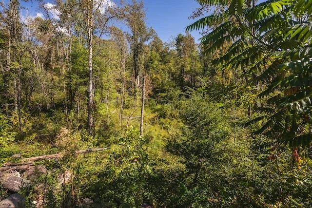 0 Twin Falls RD - Photo 23