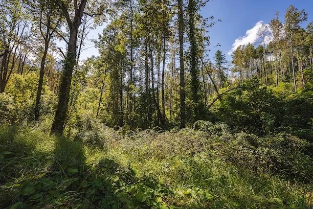 0 Twin Falls RD - Photo 24