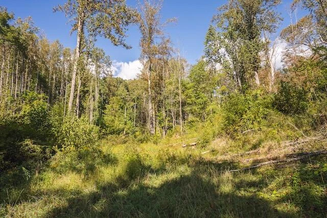 0 Twin Falls RD - Photo 25