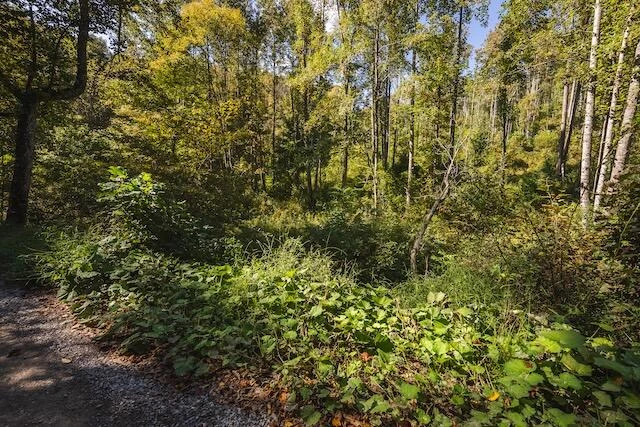 0 Twin Falls RD - Photo 27