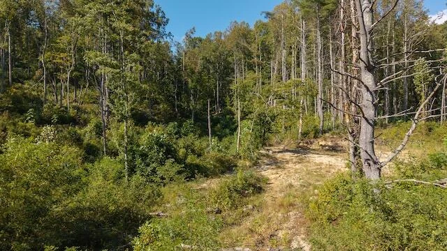 0 Twin Falls RD - Photo 3