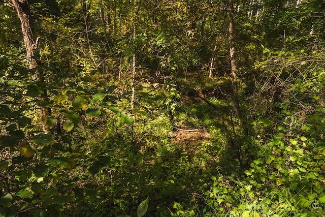 0 Twin Falls RD - Photo 30