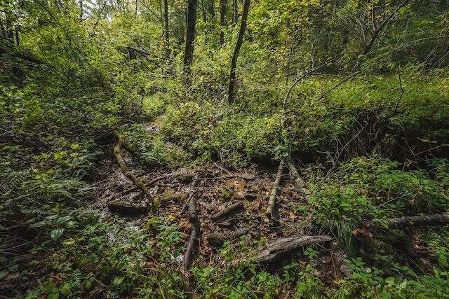 0 Twin Falls RD - Photo 33