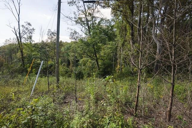 0 Twin Falls RD - Photo 37