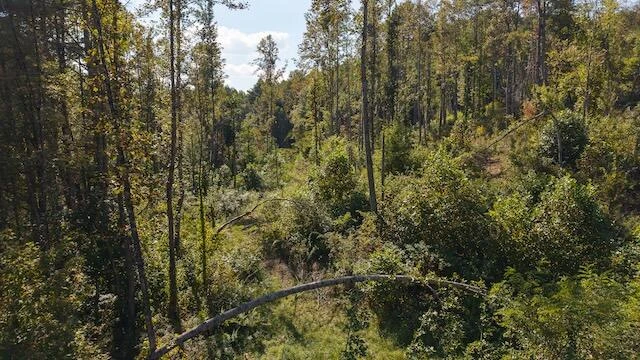 0 Twin Falls RD - Photo 4