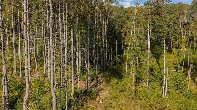 0 Twin Falls RD - Photo 5