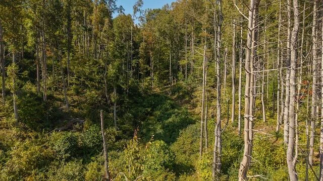 0 Twin Falls RD - Photo 6