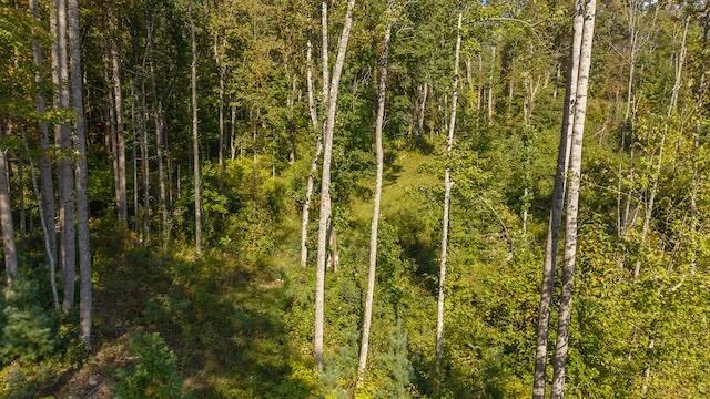 0 Twin Falls RD - Photo 8