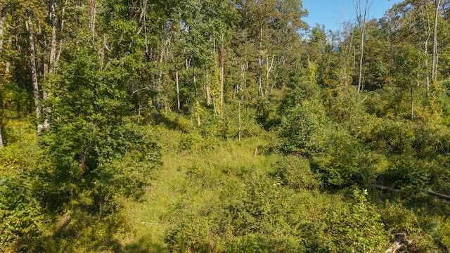 0 Twin Falls RD - Photo 9