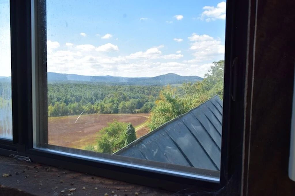 519 Roberson Mill RD - Photo 37
