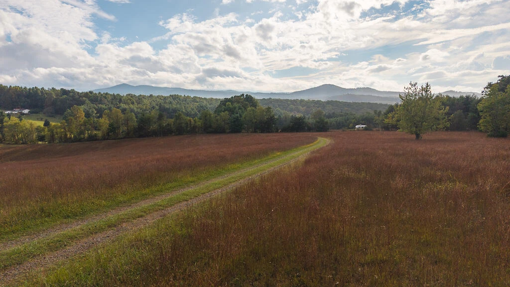 519 Roberson Mill RD - Photo 69