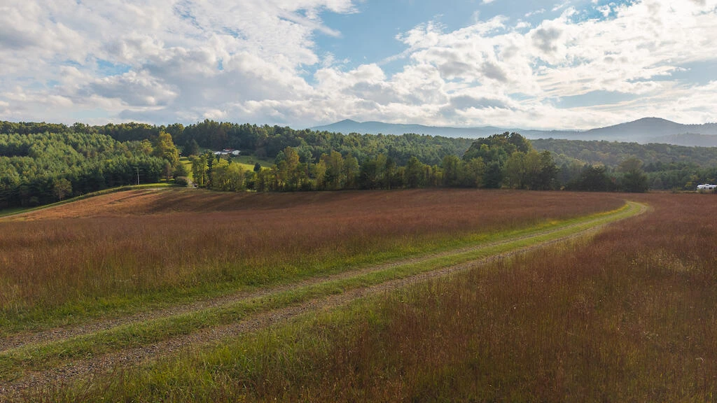 519 Roberson Mill RD - Photo 70