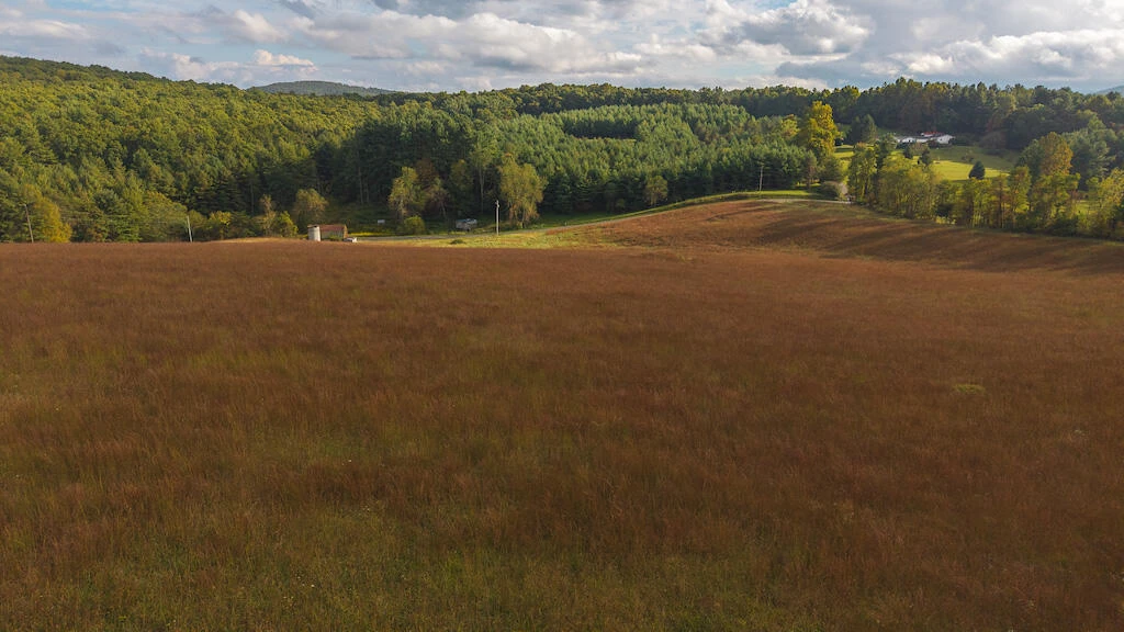 519 Roberson Mill RD - Photo 71