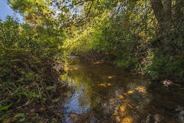 0 Twin Falls RD - Photo 29