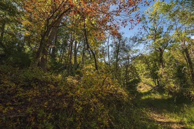 0 Twin Falls RD - Photo 40