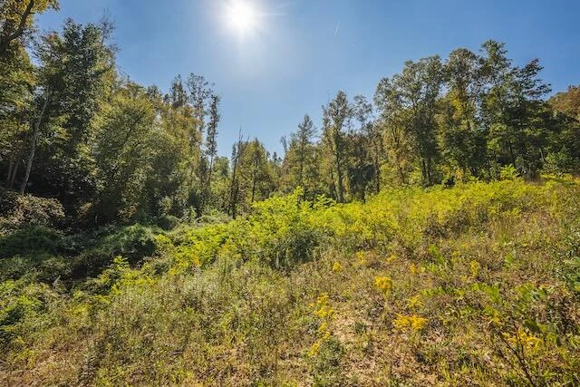 0 Twin Falls RD - Photo 43
