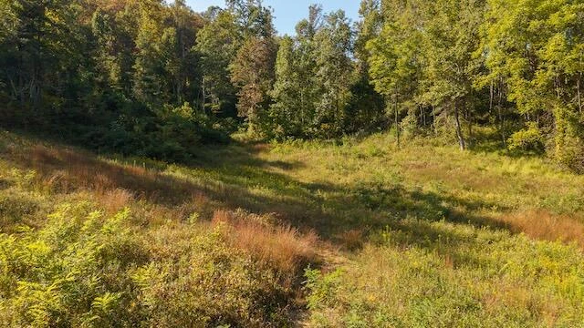 0 Twin Falls RD - Photo 6