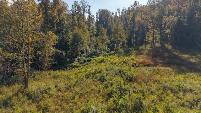 0 Twin Falls RD - Photo 8